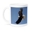 thumbnail image 1 of 3dRose, Bald Eagle in Flight, Homer, Alaska - NA02 DNO0194 - David Northcott, 11oz Mug, 1 of 3