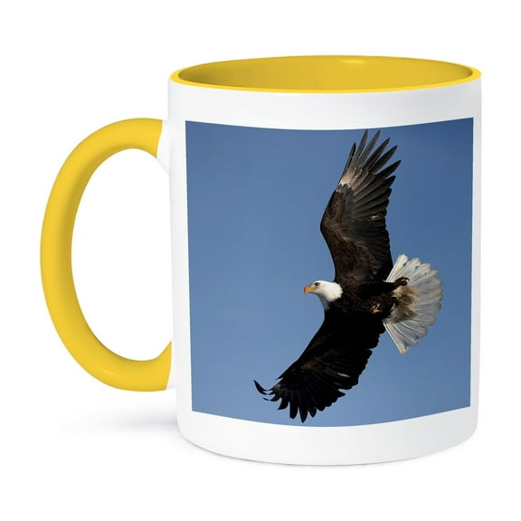 3dRose, Bald Eagle in Flight, Homer, Alaska - NA02 DNO0194 - David Northcott, 11oz Two-Tone Yellow Mug