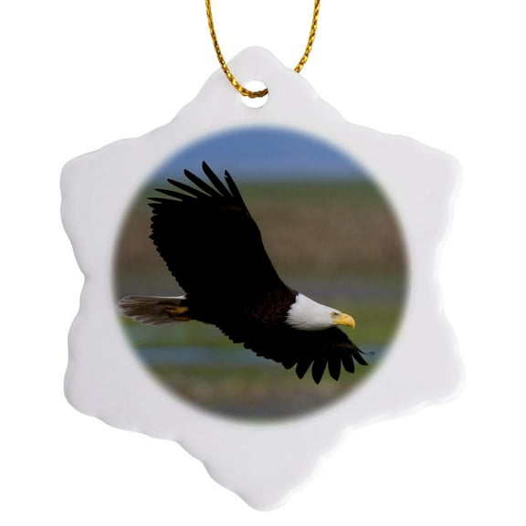 3drose, Bald Eagle, Wings Spread, 3 inch Snowflake Porcelain Ornament