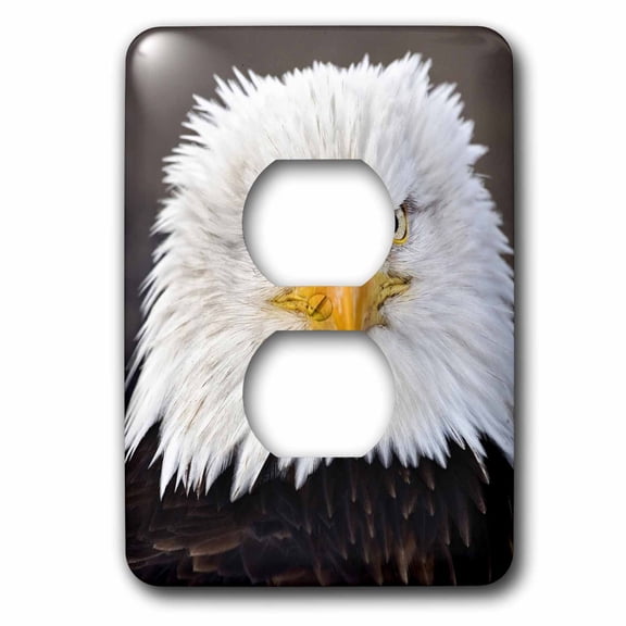 3dRose, Bald Eagles, Homer, Alaska - US02 AJE0019 - Adam Jones, 2 plug outlet cover