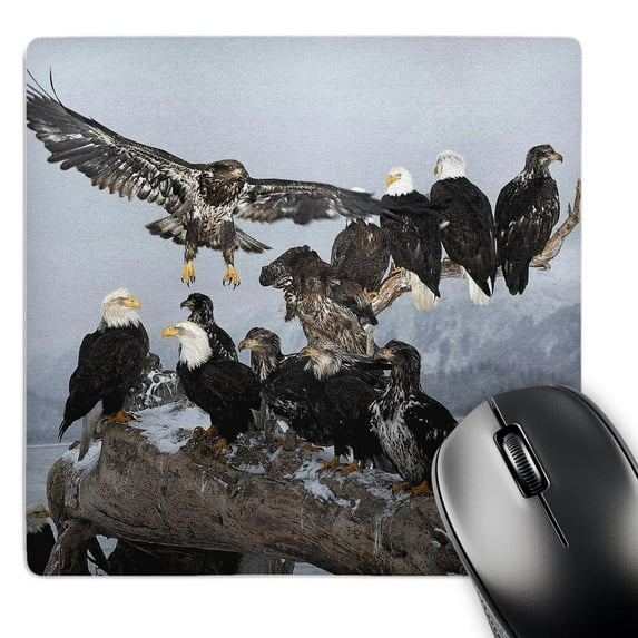 3dRose, Bald Eagles gathering on a log, Homer, Alaska - NA02 DNO0199 - David Northcott, MousePad