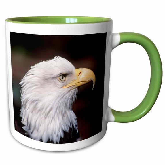 3drose, Bald Eagle, Haliaeetus Leucocephalus, Adult, Western, Washington, Usa, 11oz Two-tone Green Mug