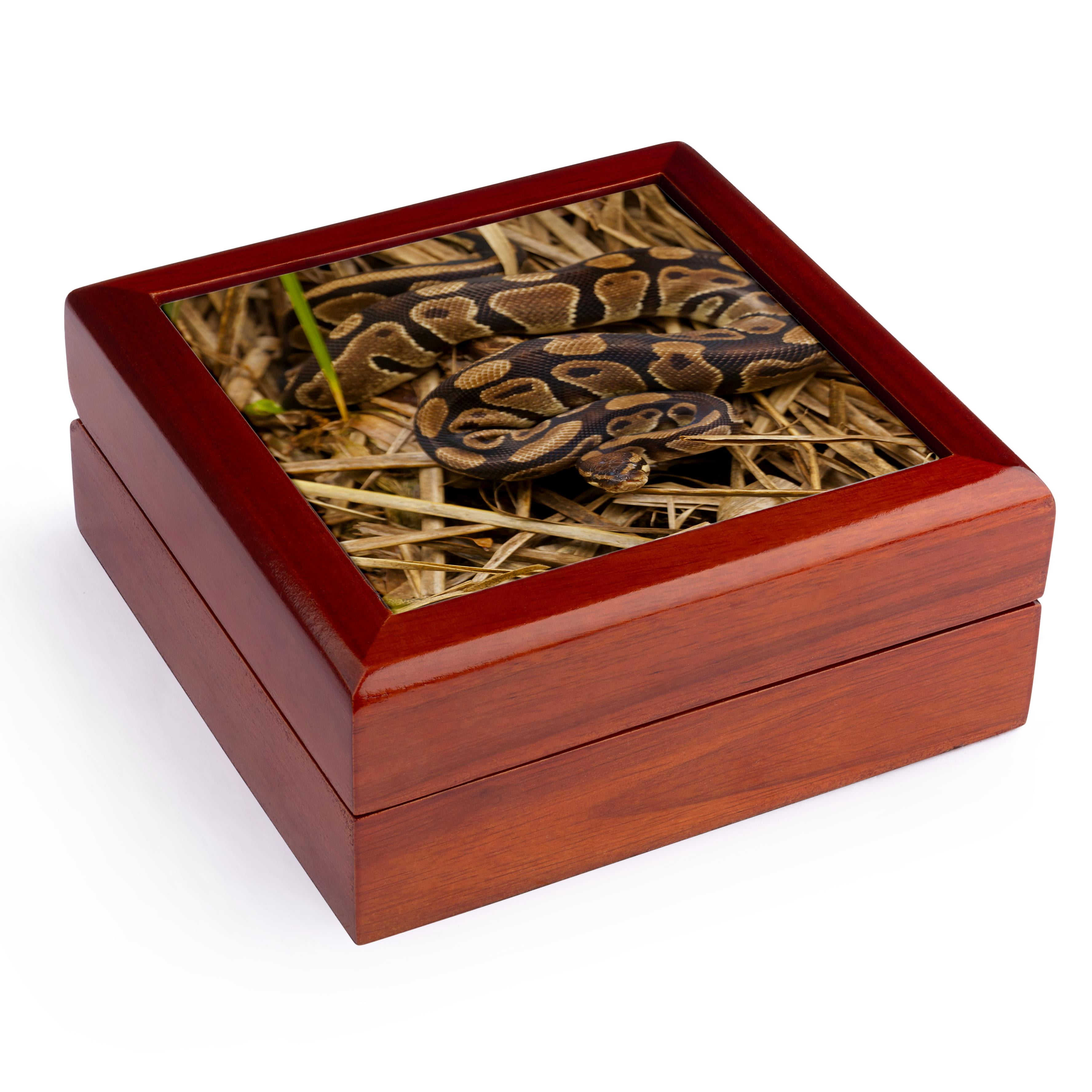 3dRose, Ball python snake, North Carolina, USA - US34 BJY0027 - Jaynes Gallery, Jewelry Box 5.5x5.5 inch with 4 inch tile