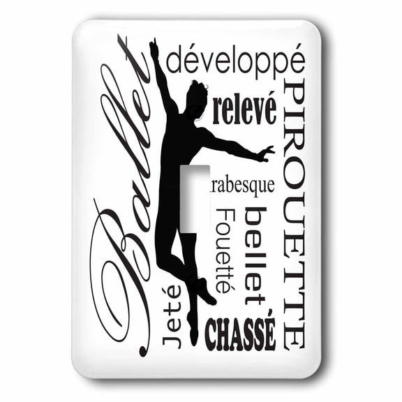 3dRose, Ballet words and terminology , single toggle switch