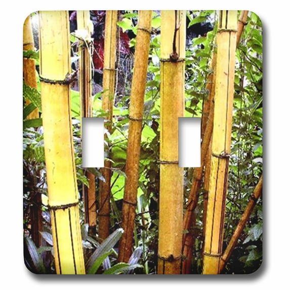 3dRose, Bamboo, double toggle switch