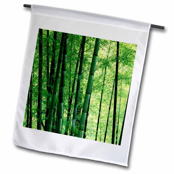3dRose, Bamboo forest, detail of tall culms, Anhui Province, China-AS07 KSU1227 - Keren Su, 12 x 18 inch Garden Flag