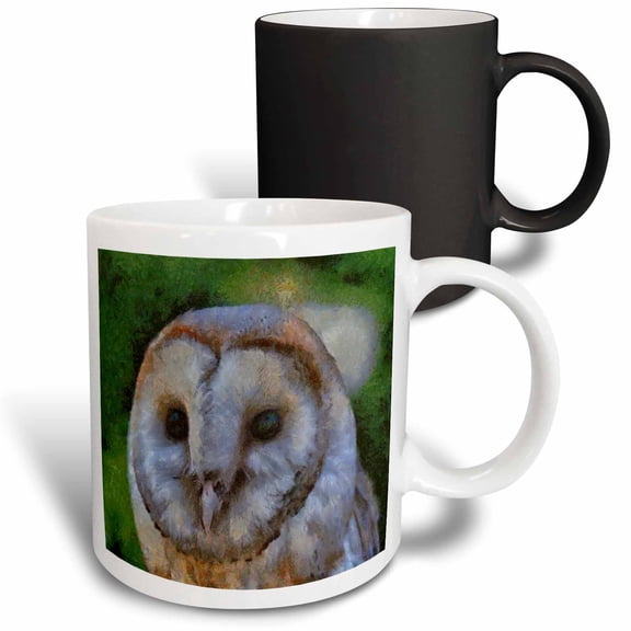 3drose, Barn Owl a Realistic Portrait Painting of a Wild Barn Owl, 11oz Magic Transforming Mug