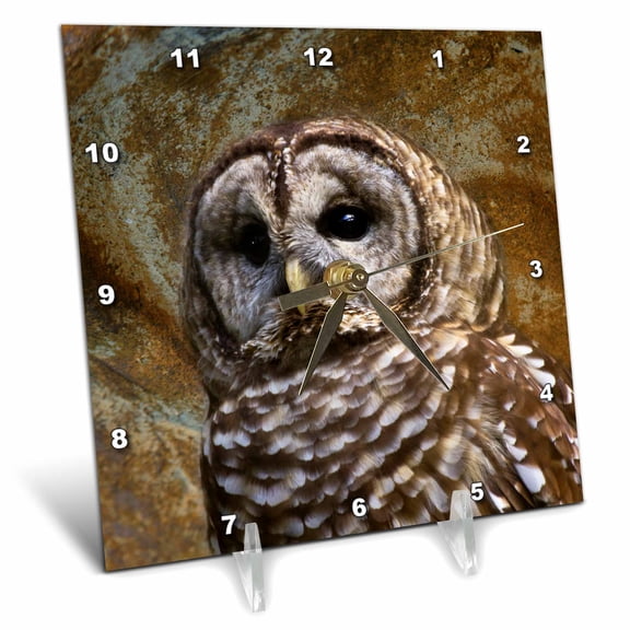 3dRose, Barn Owl fine art image - home dcor , 6x6 Desk Clock