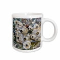 thumbnail image 1 of 3drose, Barnacles, Isla De Espiritu Santo, Baja, Mexico - Sa13 Mwi0038 - Mark Williford, 15oz Mug, 1 of 6