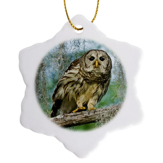 3drose, Barred Owl, Bald Cypress, Caddo Lake, Texas, Usa - Us44 Ldi0744 - Larry Ditto, 3 inch Snowflake Porcelain Ornament