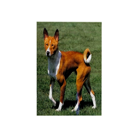 3dRose, Basenji, 15x22 Hand Towel