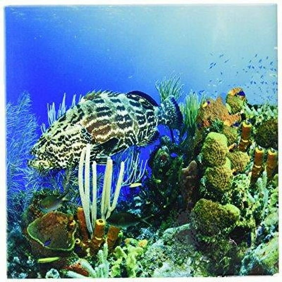 3dRose, Bass Fish Underwater, 6 Inch Ceramic Tile