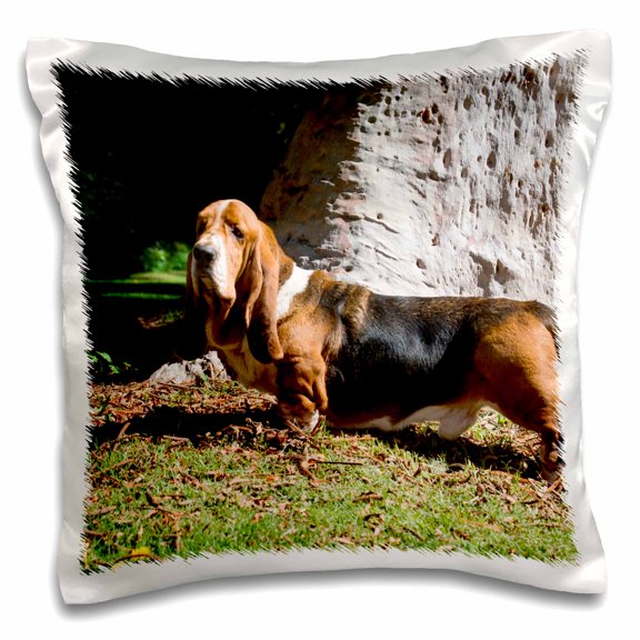 3drose, Basset Hound Standing Near Tree Trunk, Mr, 16x16 inch Pillow Case