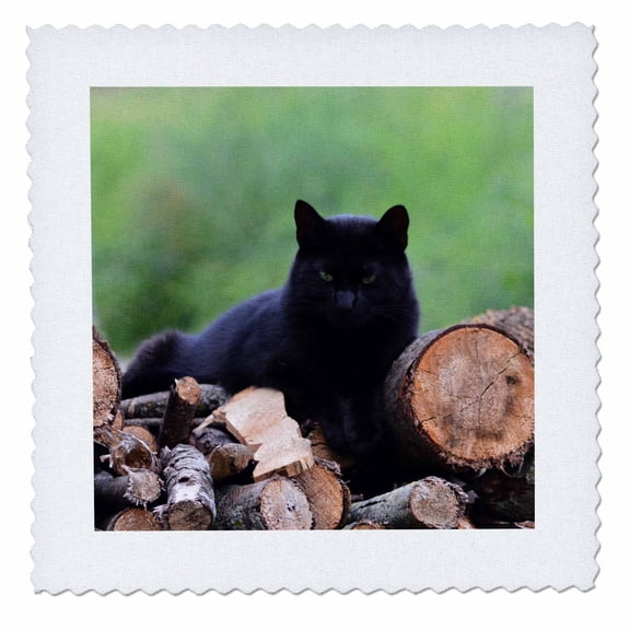 3dRose, Beautiful Black Male Cat on Pile of Logs , 6x6 inch quilt square