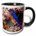 thumbnail image 1 of 3drose, Beautiful Bluebird N Cherry Blossoms, 11oz Two-tone Black Mug, 1 of 6