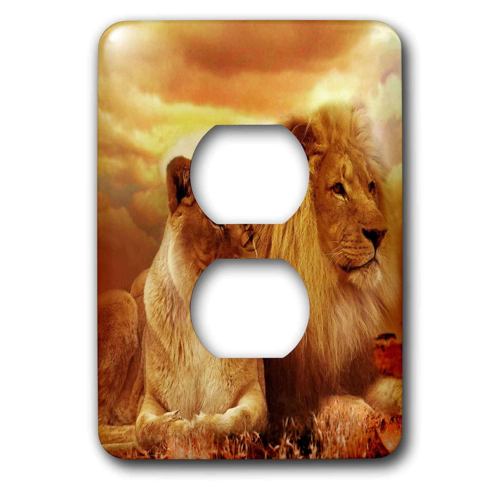 3dRose, Beautiful Lion and Lioness Couple Wildlife Photography, 2 plug outlet cover