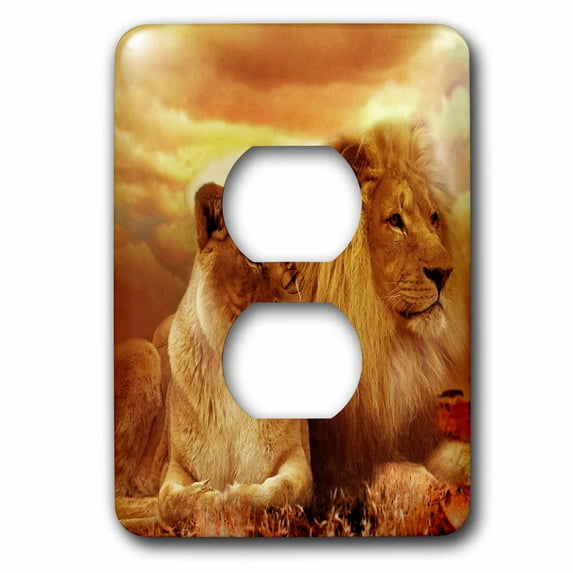 3dRose, Beautiful Lion and Lioness Couple Wildlife Photography, 2 plug outlet cover