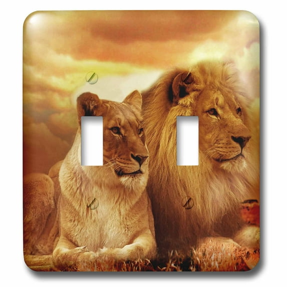3dRose, Beautiful Lion and Lioness Couple Wildlife Photography, double toggle switch