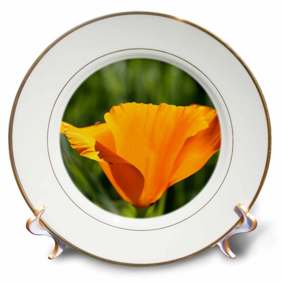 3dRose, Beautiful Orange California Poppy Flower- Spring Photography, 8 inch Porcelain Plate