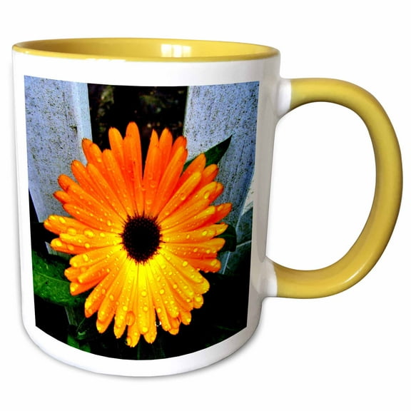 3drose, Beautiful Orange Marigold, 11oz Two-tone Yellow Mug