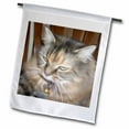 thumbnail image 1 of 3dRose, Beautiful Painted Maine Coon Cat, 12 x 18 inch Garden Flag, 1 of 1