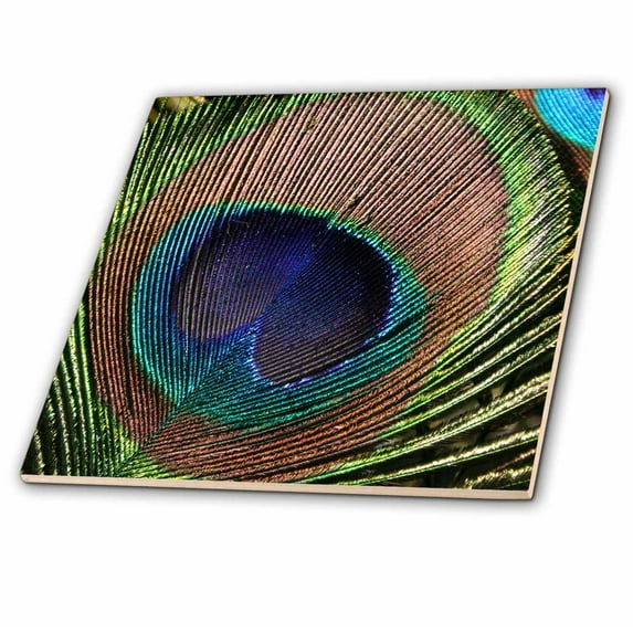3dRose, Beautiful Peacock Feather- Birds, 8 Inch Ceramic Tile