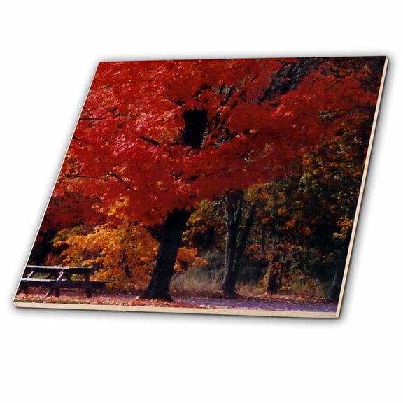 3dRose, Beautiful Red And Orange Foliage In The Fall, 6 Inch Ceramic Tile