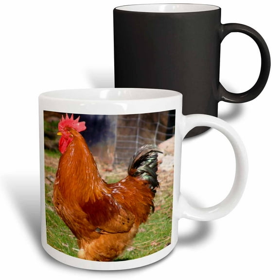 3drose, Beautiful Red Rooster on the Farm- Animal Photography, 11oz Magic Transforming Mug