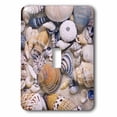 thumbnail image 1 of 3dRose, Beautiful Sea Shell Collection, single toggle switch, 1 of 1