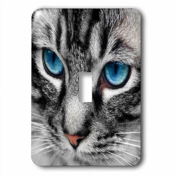 3dRose, Beautiful close up Silver Tabby Cat face with gorgeous blue eyes. , single toggle switch