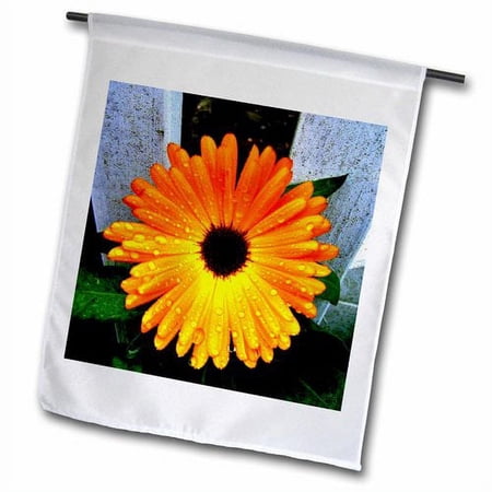 3dRose, Beautiful orange marigold, 12 x 18 inch Garden Flag
