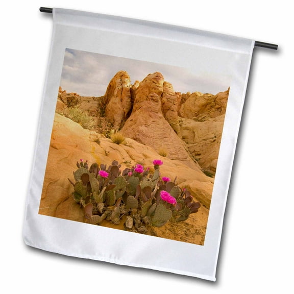 3dRose, Beavertail Cactus succulent, Mohave Desert, Nevada - US29 HGA0004 - Howie Garber, 12 x 18 inch Garden Flag