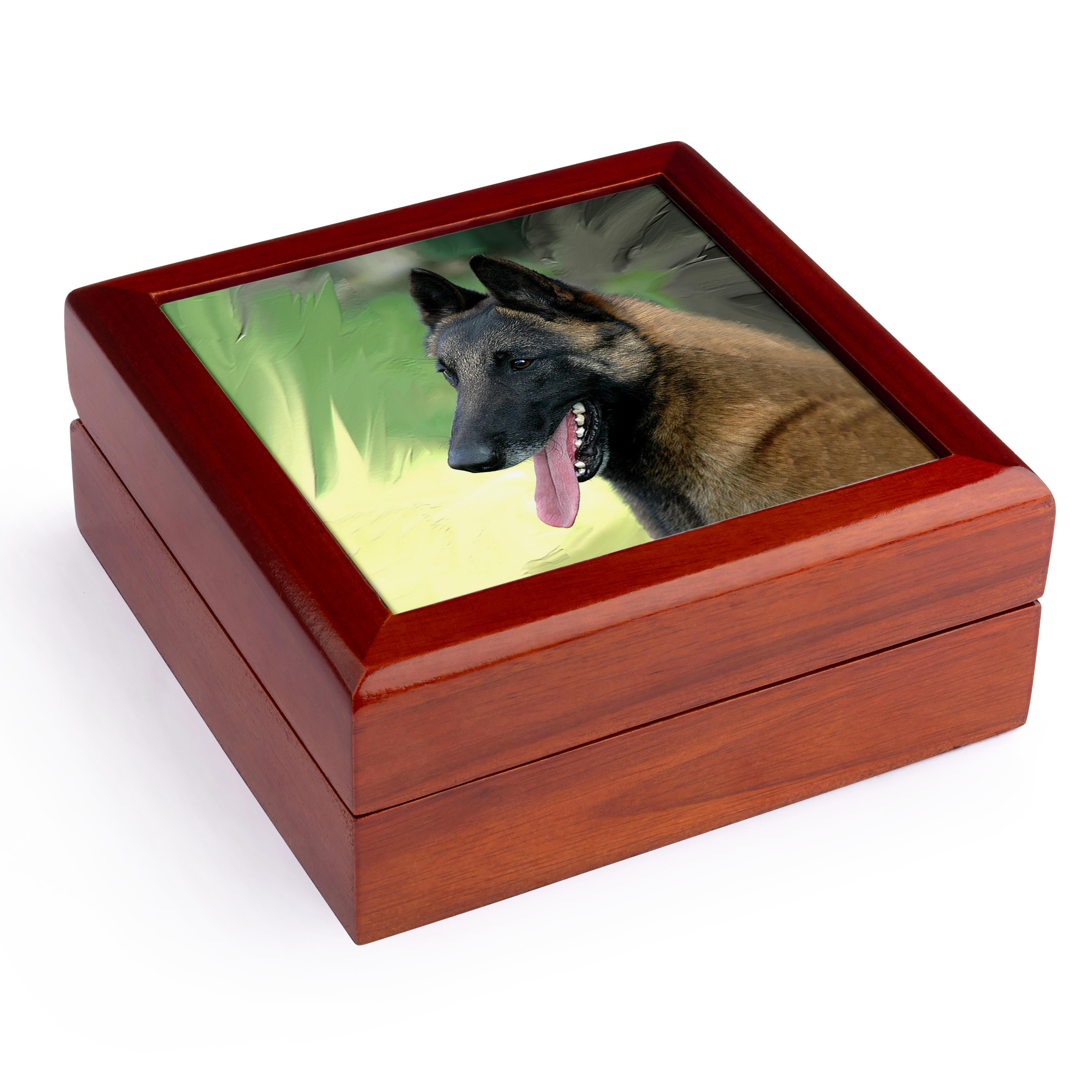 3dRose, Belgian Malinois Portrait, Jewelry Box 5.5x5.5 inch with 4 inch tile