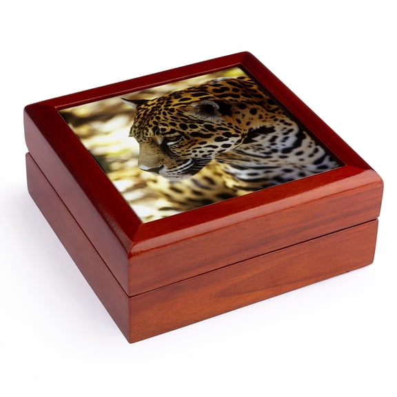 3dRose, Belize, Cockscomb Basin Jaguar Preserve, Jaguar - SA02 GJO0157 - Greg Johnston, Jewelry Box 5.5x5.5 inch with 4 inch tile