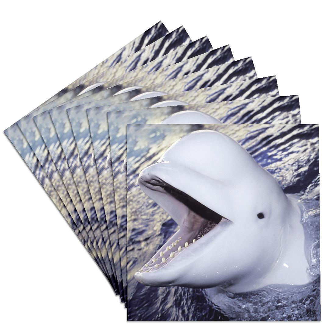 3dRose, Beluga Whale, Delphinapterus leucas, Set of 8 Ceramic Tile ...