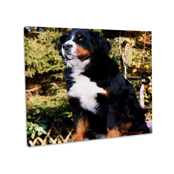 3dRose, Bernese Mountain Dog, Museum Grade Canvas Wrap 10x8