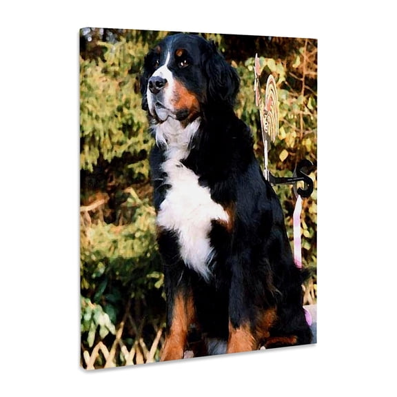 3dRose, Bernese Mountain Dog, Museum Grade Canvas Wrap 8x10