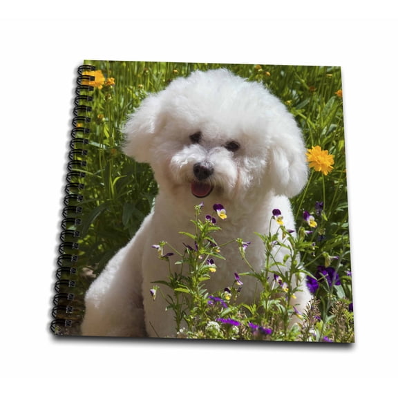 3dRose, Bichon Frise sitting in flowers, Mini Notepad 4 x 4 inch