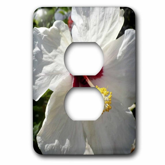 3dRose, Big White Hibiscus, 2 plug outlet cover