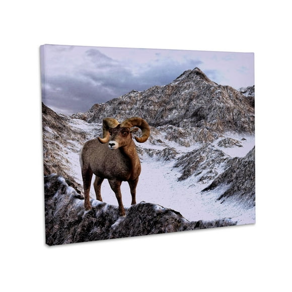 3dRose, Bighorn Sheep looking down the valley, Museum Grade Canvas Wrap 20x16