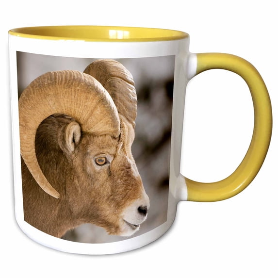 3drose, Bighorn Sheep, Maligne Canyon, Jasper Np, Alberta-cn01 Pcl0007 - Paul Colangelo, 11oz Two-tone Yellow Mug