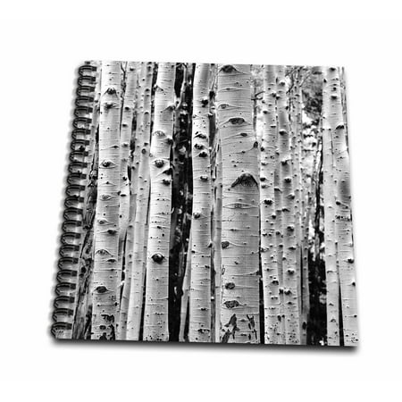 3dRose Birch Tree Forest - Mini Notepad, 4 by 4-inch