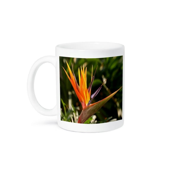 3dRose, Bird Of Paradise - strelitzia, bird-of-paradise, flower, primary colors, tropical flower, 11oz Mug