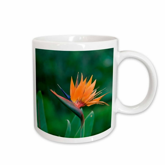 3drose, Bird of Paradise Flower, Hawaii - Na02 Dpb0003 - Douglas Peebles, 11oz Mug