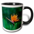 thumbnail image 1 of 3drose, Bird of Paradise Flower, Hawaii - Na02 Dpb0003 - Douglas Peebles, 11oz Two-tone Black Mug, 1 of 6