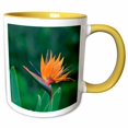 thumbnail image 1 of 3drose, Bird of Paradise Flower, Hawaii - Na02 Dpb0003 - Douglas Peebles, 15oz Two-tone Yellow Mug, 1 of 6