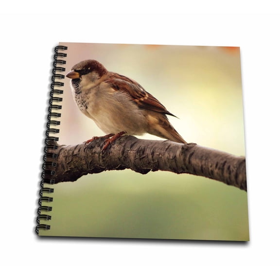 3dRose, Bird on a Branch- Animals- Photography, Mini Notepad 4 x 4 inch