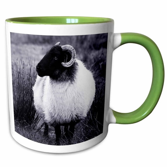 3drose, Black and White Sheep in Grass, 15oz Two-tone Green Mug