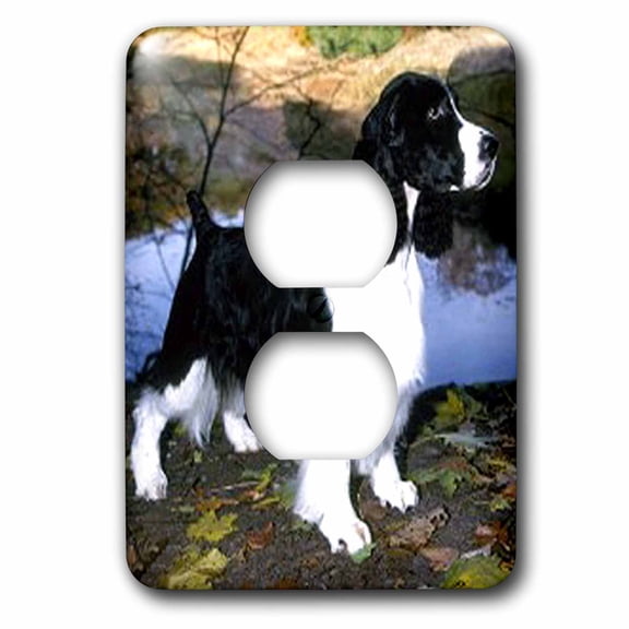 3dRose, Black And White Springer Spaniel, 2 plug outlet cover