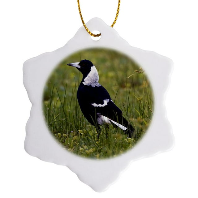 3dRose, Black-backed Magpie bird, Eastern Australia - NA02 DNO0611 - David Northcott, 3 inch Snowflake Porcelain Ornament